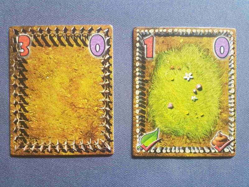 Dungeon Petz - Exemple de cages améliorées